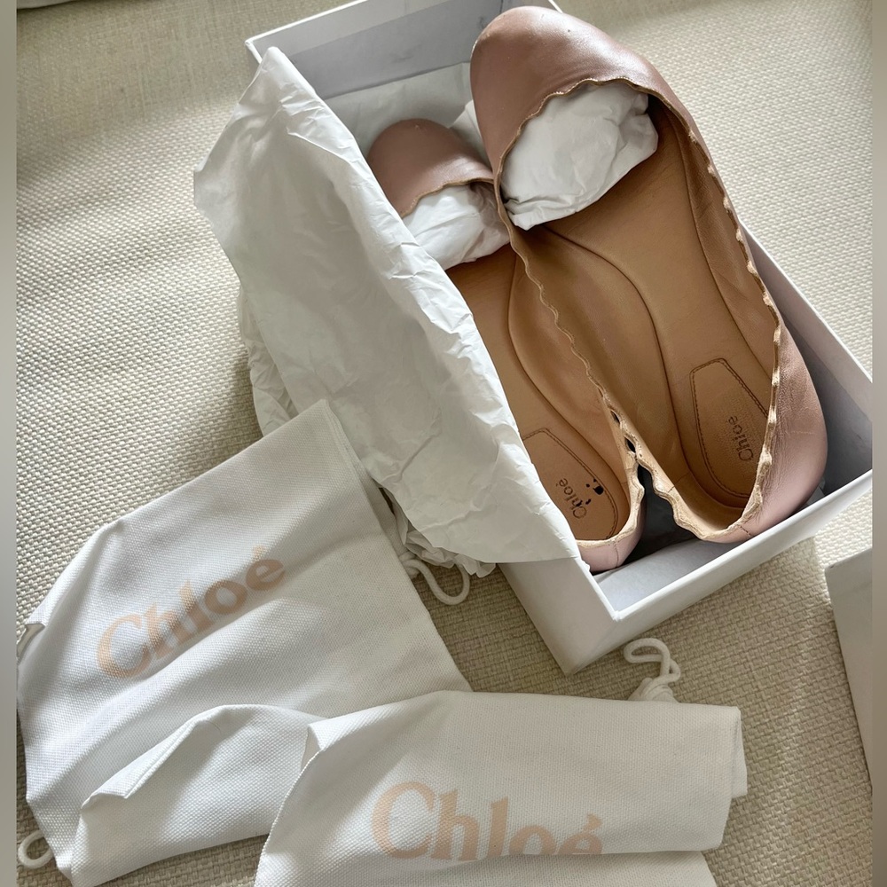 Chloe Lauren Ballerina Flats - Pink Tea